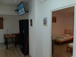 TV a/nebo společenská místnost v ubytování Carol 51 Hostel