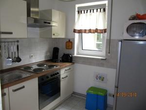 マルククレーベルクにあるFerienwohnung am Wildparkのキッチン(コンロ、冷蔵庫付)
