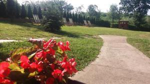 Giardino di Vila Davidovic-Fruska gora