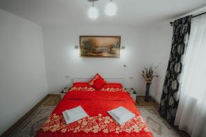 Ένα ή περισσότερα κρεβάτια σε δωμάτιο στο Casa Andreea și Grigore Ursu