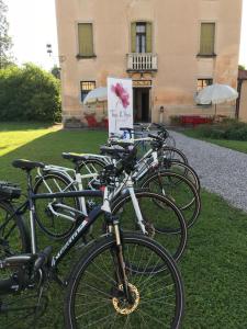 Jízda na kole v ubytování Fiori&vigne di Cecilia Marcon nebo okolí