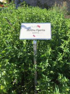 Zahrada ubytování Fiori&vigne di Cecilia Marcon