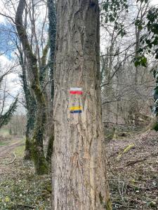 a tree with a sign on the side of it at Chambre de la Poterie in Accolay