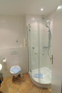 een badkamer met een douche en een toilet bij Seestern in Westerland