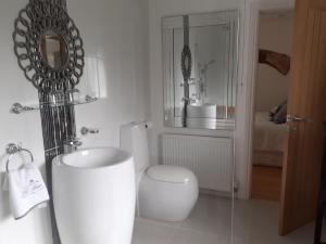 bagno con servizi igienici, lavandino e specchio di The Cobblers Bed and Breakfast a Bishampton