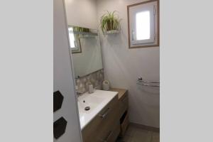 a bathroom with a sink and a mirror at Gîte Le Chantecaille in Mer