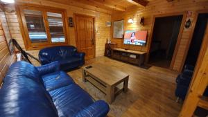 sala de estar con sofá de cuero azul y TV en Casa Agapie en Uzlina