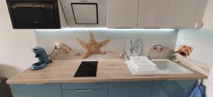 um balcão de cozinha com um lavatório e um micro-ondas em jujuceline83 em Fréjus