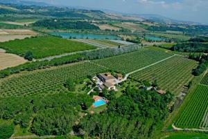 eine Luftansicht auf einen Weinberg mit einem Haus und einem See in der Unterkunft Agriturismo Il Selvino in Terricciola
