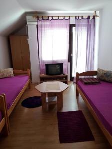 a room with two beds and a tv and a table at Apartments and rooms Villa Mačva - Banja Koviljača in Banja Koviljača