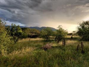Paisaje cerca de este tented camp