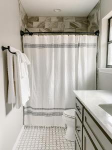bagno con tenda per la doccia e servizi igienici di The Pearl: A Fully Updated 3 Bedroom Home Near ACU ad Abilene