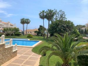 - une piscine dans une cour avec un palmier dans l'établissement FH COCOLISO II, à Altea