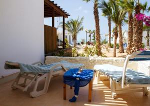une terrasse avec des chaises, une piscine et des palmiers dans l'établissement Sea view houses, Praia de Chaves, Boa Vista, Cape Verde, FREE WI-FI, à Cabeçadas