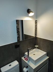 a bathroom with a sink and a mirror and a toilet at La Guarida del Zorro in Merlo