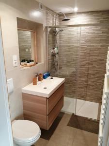 een badkamer met een toilet, een wastafel en een douche bij Gîte vacances Bosc d'esquirol 4 pers in Escorneboeuf