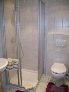 キルヒベルク・イン・チロルにあるAppartements Renateのバスルーム(シャワー、トイレ、洗面台付)