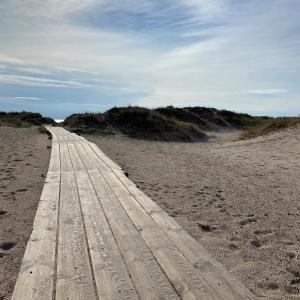 een onverharde weg midden op een strand bij BRICK Österlen in Simrishamn