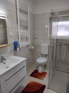 a bathroom with a shower and a toilet and a sink at Apartment Gyenesdias 17 in Gyenesdiás