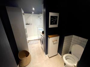 La petite salle de bains est pourvue d'une douche et de toilettes. dans l'établissement Charmant et spacieux studio (T1bis) - Bordeaux, Chartrons, à Bordeaux
