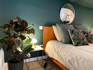 a bedroom with a bed with a mirror and a plant at Charmant et spacieux studio (T1bis) - Bordeaux, Chartrons in Bordeaux