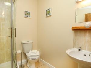 a bathroom with a toilet and a sink and a shower at Bryn Eira Tack Room in Llanfairpwllgwyngyll