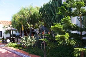 Ogród w obiekcie Miramar Boutique Apartments ADULTS ONLY CORRALEJO