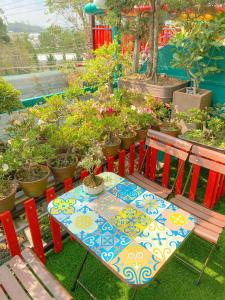 Zahrada ubytování Ziczac Homestay Đà Lạt