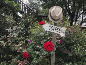 A garden outside Tian Hsiang Tea B&B