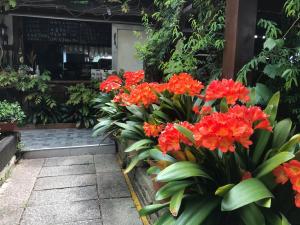 A garden outside Tian Hsiang Tea B&B