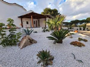 a house with a bunch of plants in front of it at Il corallo rosso in Favignana