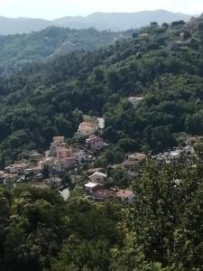eine kleine Stadt inmitten eines Waldes in der Unterkunft In campagna in La Spezia