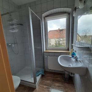 Koupelna v ubytování Regenbogenhof Rudelswalde + 17 fotografií