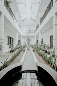 日惹的住宿－德帕拉貢弗蘭博雅旅館，相簿中的一張相片