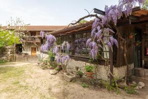 Afbeelding uit fotogalerij van Chalé da Quinta "Lavoura da Bouça - Fruta Bio" in Celorico de Basto