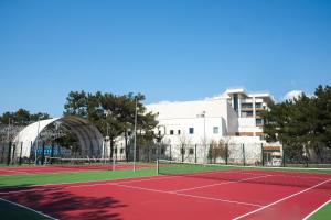 Attività di tennis o squash presso l'hotel o nelle vicinanze