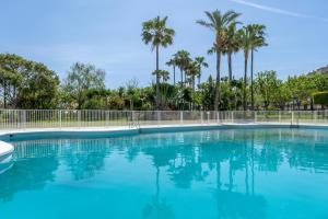 una gran piscina con palmeras en el fondo en Garden & Beach - Torremolinos en Torremolinos