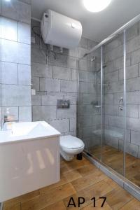 een badkamer met een douche, een toilet en een wastafel bij Apartamenty Rybacka 84A m17 in Krynica Morska