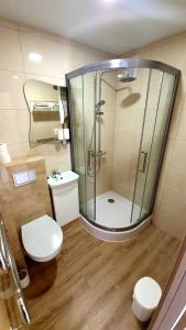 a bathroom with a glass shower and a toilet at Apartment next to Cathedral of Saints Peter & Paul in Šiauliai