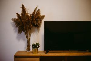 een flatscreen-tv zittend op een tafel met een plant bij Apartman Gold in Slavonski Brod