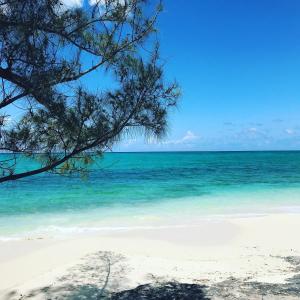 A beach at or near the holiday home