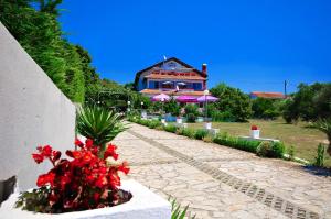 Zahrada ubytování Guest House Ero + 37 fotografií