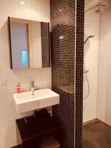 a bathroom with a sink and a shower with a mirror at Stadslogement By Peek in Sneek +29 photos