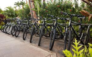 Jízda na kole v ubytování Maui Coast Hotel nebo okolí