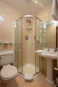 a bathroom with a shower and a toilet and a sink at Scholars Townhouse Hotel in Drogheda