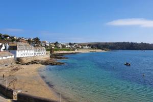 
a beach with a large body of water at Careema in Saint Mawes
