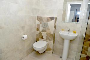 a bathroom with a toilet and a sink at Hotel Ricas in Sliven