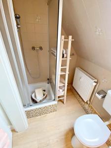 Koupelna v ubytování Ferienwohnung Annika 2 + 14 fotografií