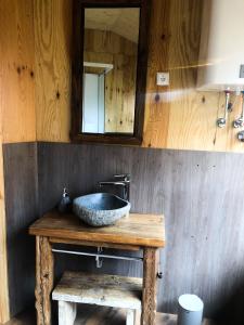 y baño con lavabo de piedra y espejo. en Tierpark Buchenberg en Waidhofen an der Ybbs