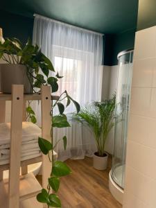 a bathroom with green walls and a window with plants at Szarotka in Karpacz